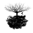 In Possible Plants